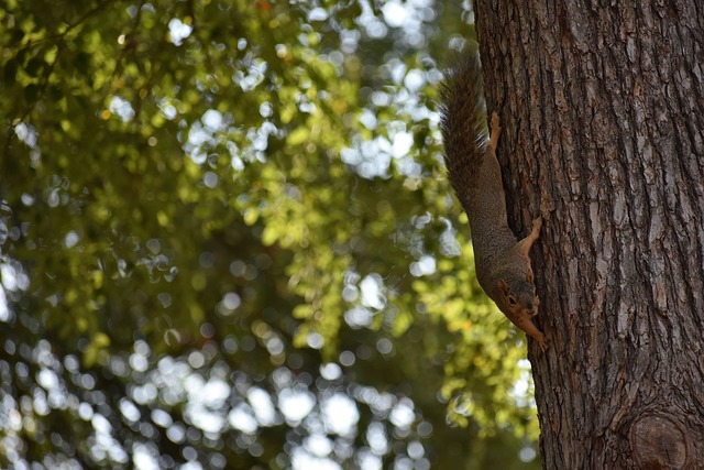 所未有的发 所未有的发