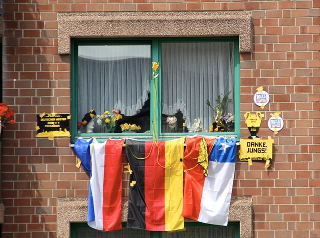 更是对体育 更是对体育