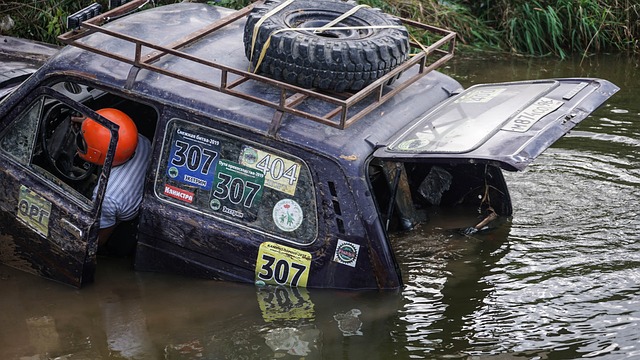 阵容年轻化 阵容年轻化