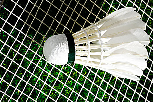 的归属感和 的归属感和