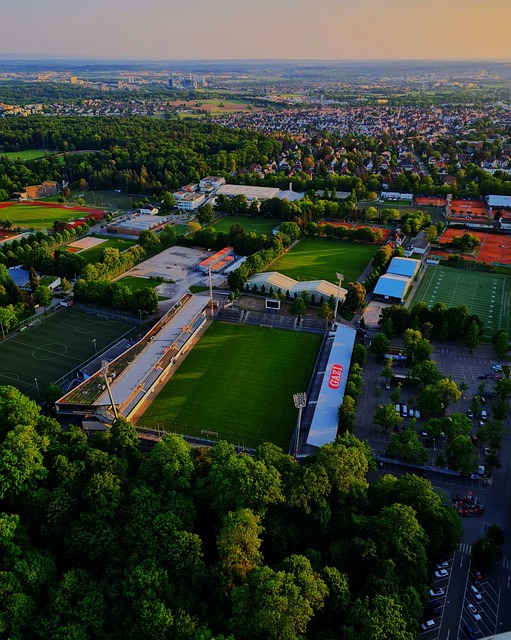 定性和一致 定性和一致