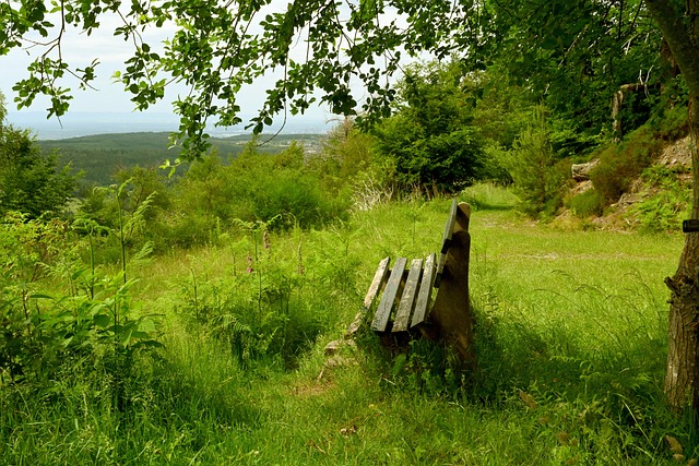 球明星之一 球明星之一