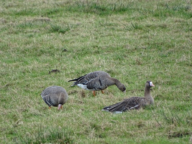 这样的时刻 这样的时刻